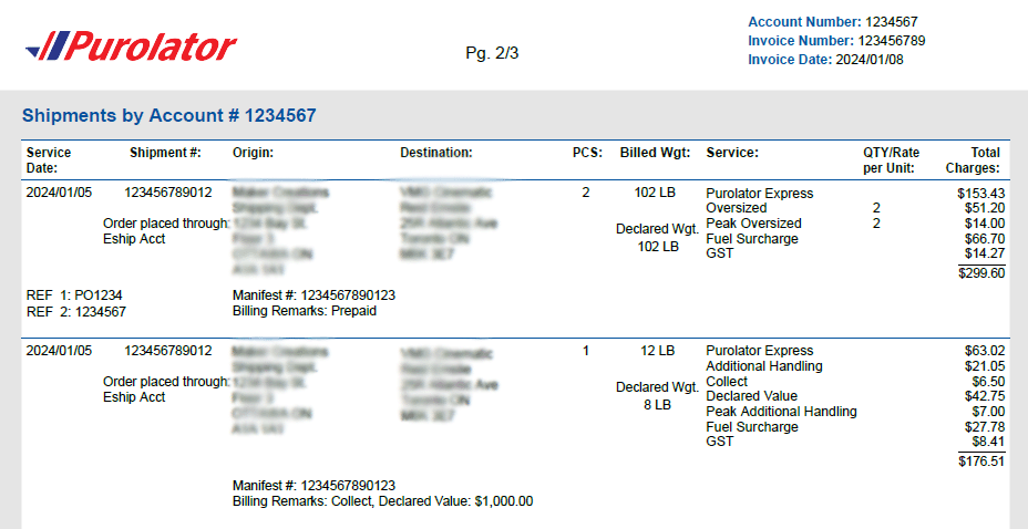 Invoice Details Page example