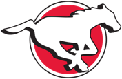 Cakgary Stampeders